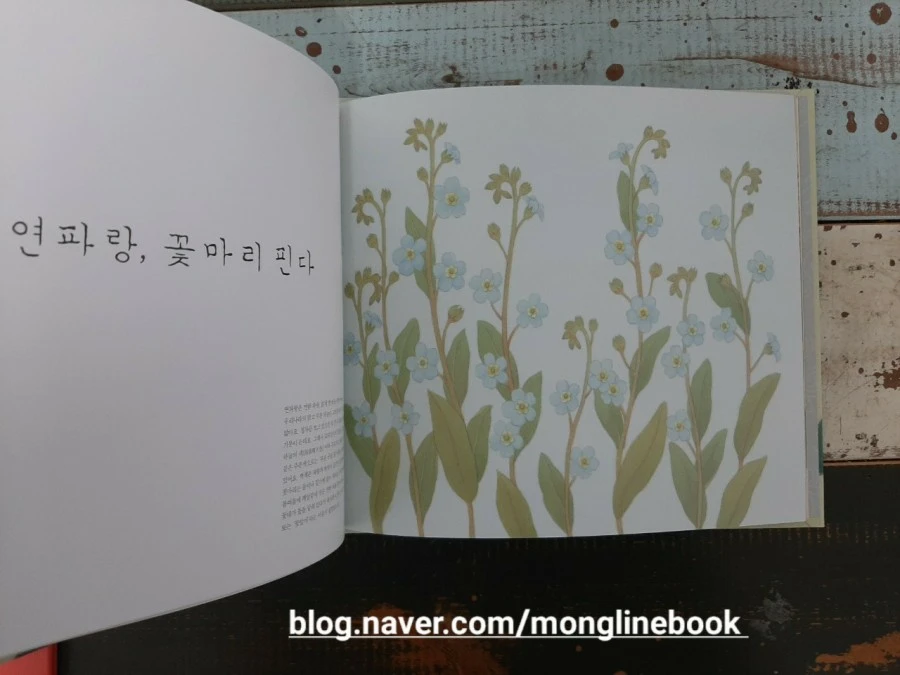 1612079133387.jpg?type=w1