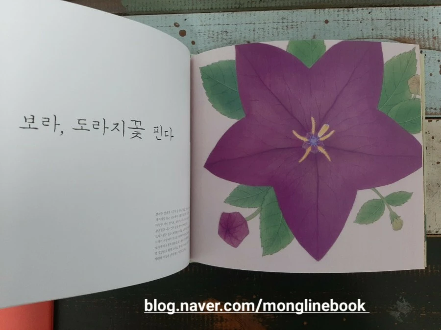 1612079133475.jpg?type=w1