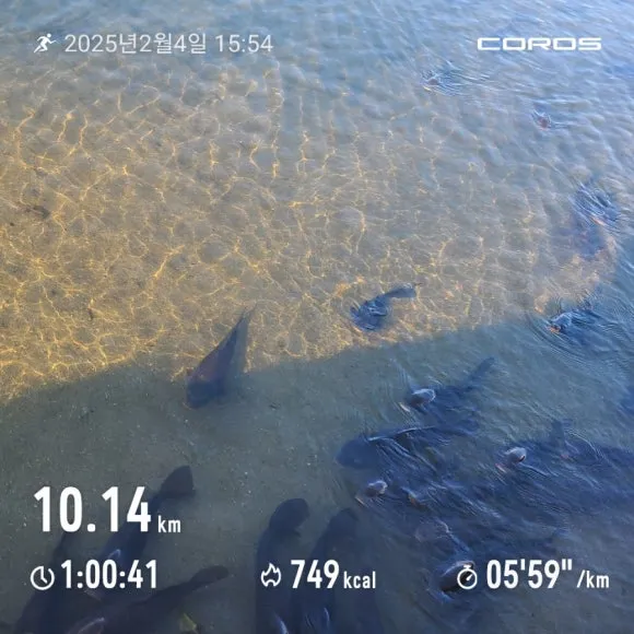 900%EF%BC%BF1738658194812%EF%BC%BFwater%EF%BC%BFmark%EF%BC%BFshare%EF%BC%BFname.jpg?type=w580