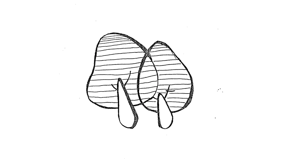 3.19001.jpg?type=w3840