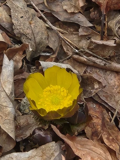 20250215_145909.jpg?type=w386