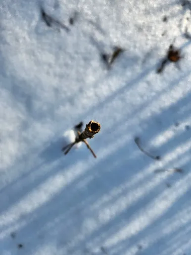 20250201_150337.jpg?type=w386