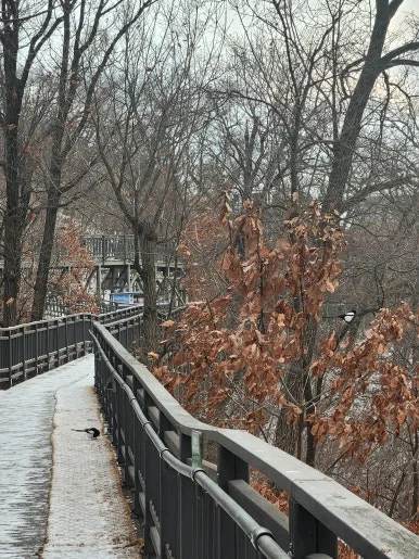 20250128_172252.jpg?type=w386