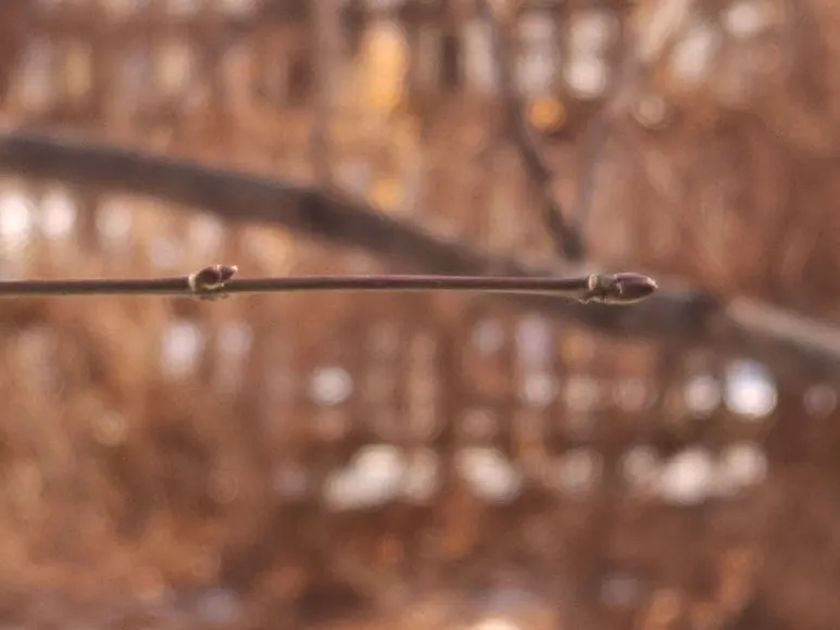 20250201_142030.jpg?type=w773