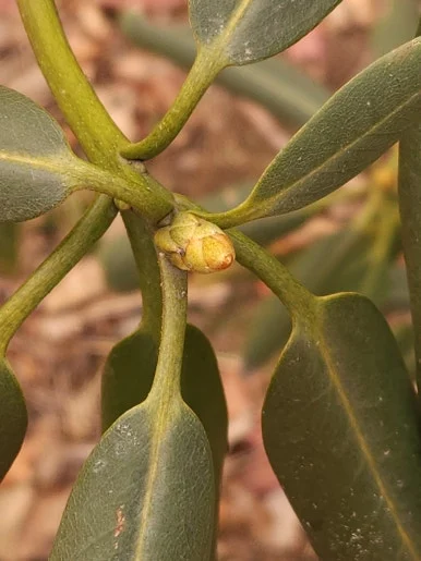 20250215_153746.jpg?type=w386