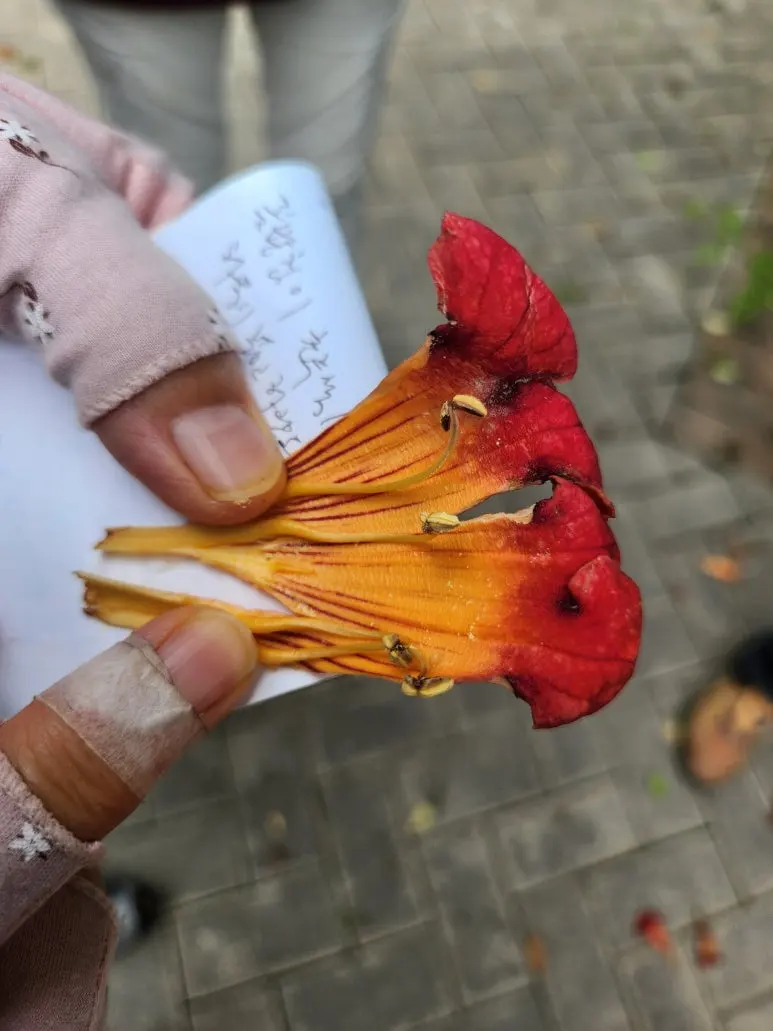 20240727_103649.jpg?type=w773