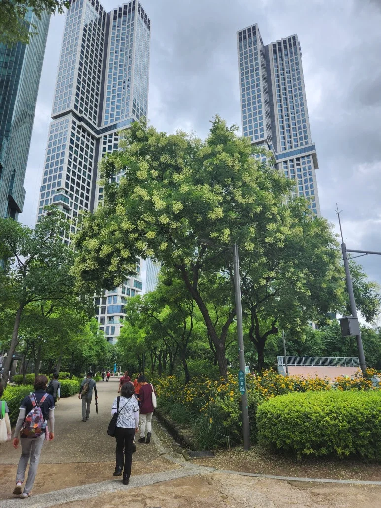 20240727_123325.jpg?type=w773