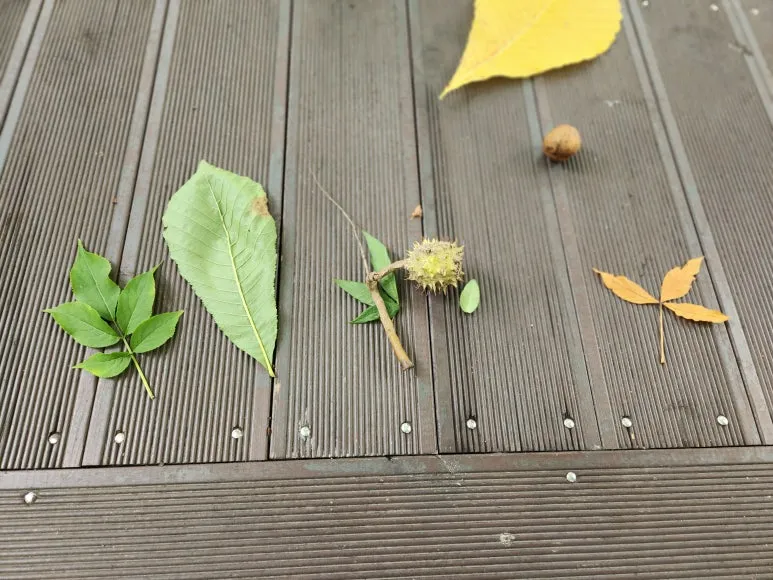 20240727_103246.jpg?type=w773