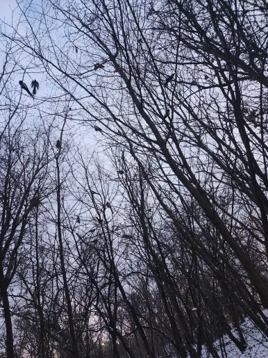 20250128_180038.jpg?type=w386