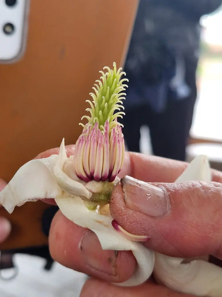 20250405_124519.jpg?type=w773