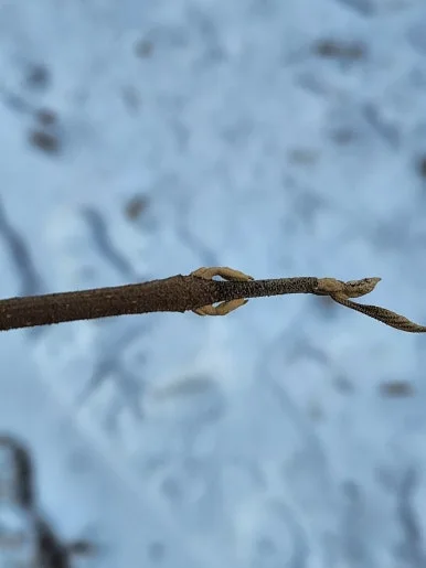 20250201_152804.jpg?type=w386