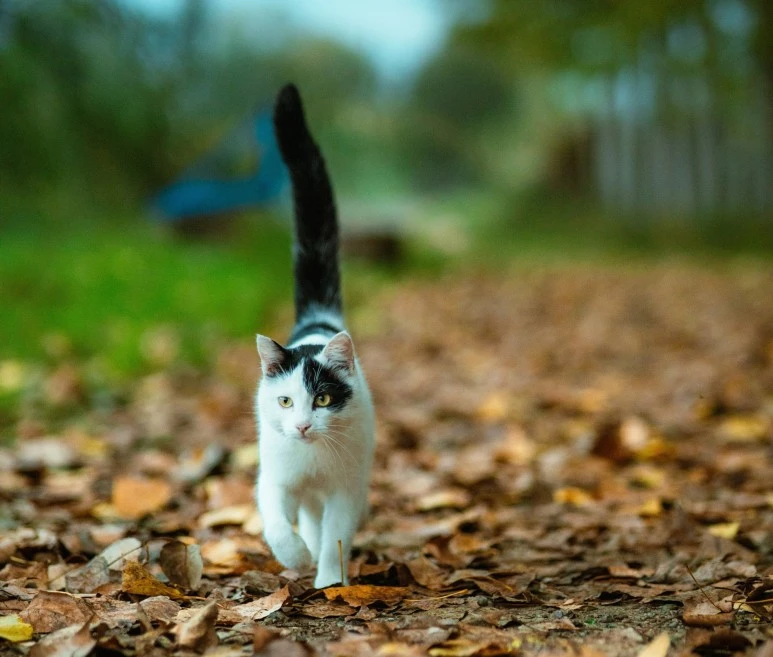 SE-e69c0cdc-0236-4da3-8ba7-e8b1491ee276.jpg?type=w773