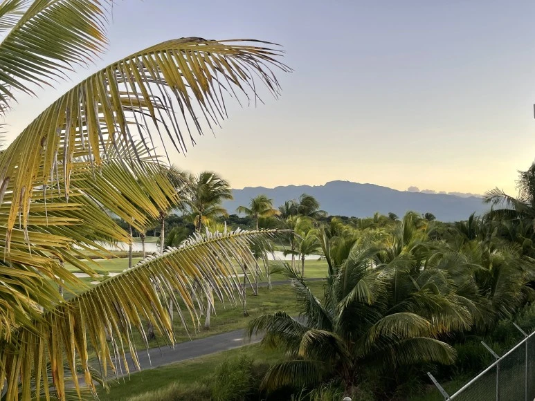 IMG_1395.jpg?type=w773