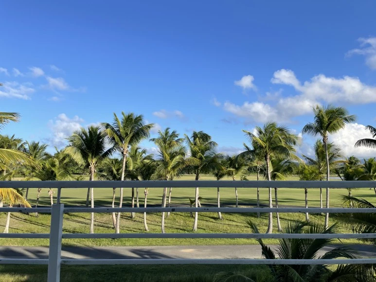 6822FE77-5366-4EFC-AC82-68E65CA3F3AE.jpg?type=w773