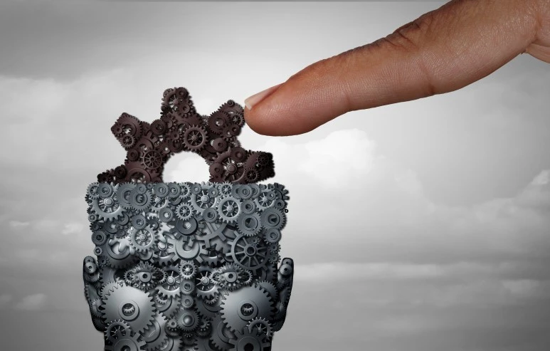 shutterstock_1178546536.jpg?type=w773