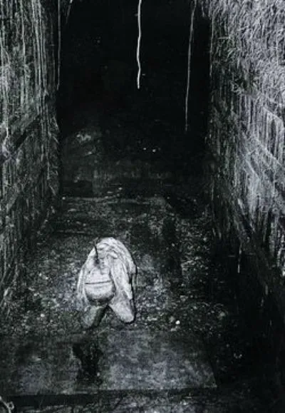 98fab3fde6adeddffcfeffc4739cd23449e56eedebcd5e830eeadc5396308b4e7aeab31a9e3a11bdf74fd9d681c1532824c90a57fbceb58e972ac52df5fd28ebc914ee83e26896a546a7f1d791bc2aafbafed9783571eb687a150cf782b714886a9d08f393b37f7a.jfif