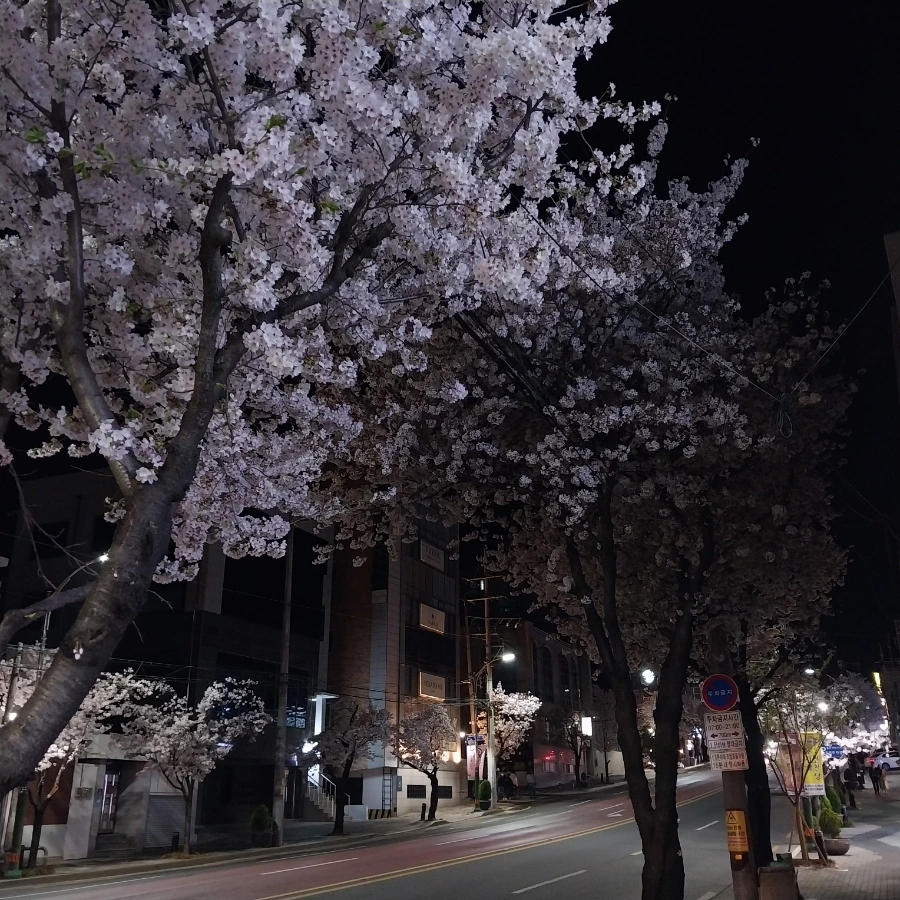 20230327%EF%BC%BF200048.jpg?type=w1