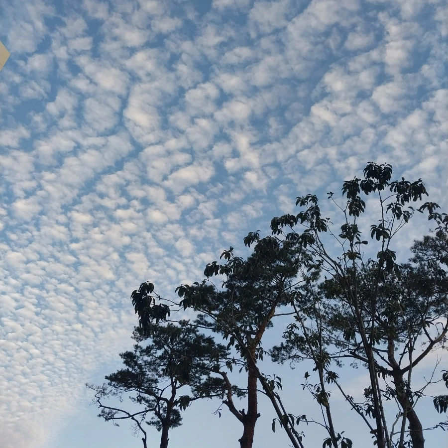 20230314%EF%BC%BF074134.jpg?type=w1