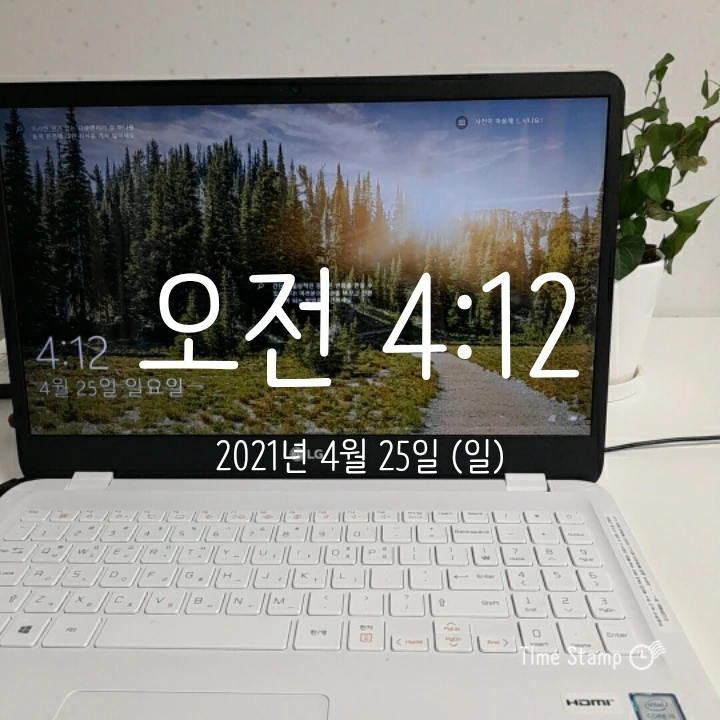 1619291541011.jpg?type=w1