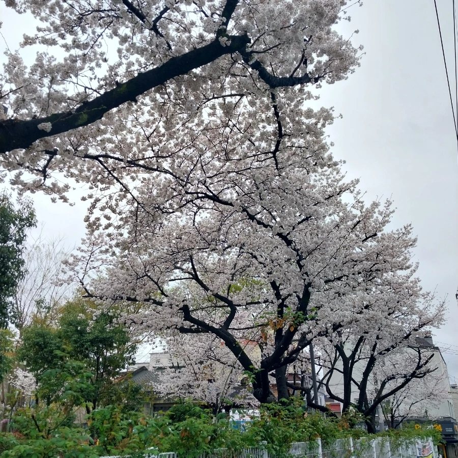 20230323%EF%BC%BF143316.jpg?type=w1