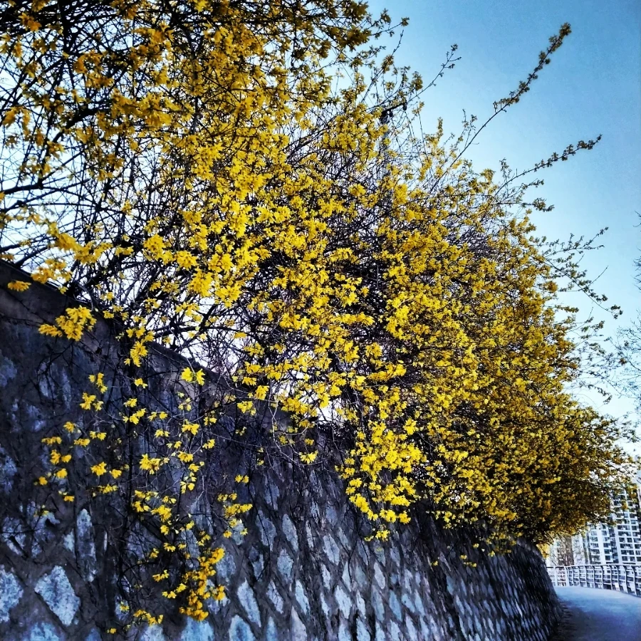 IMG%EF%BC%BF20230315%EF%BC%BF134051%EF%BC%BF263.jpg?type=w1