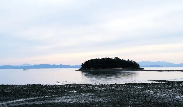 IMG_2571.JPG?type=w773