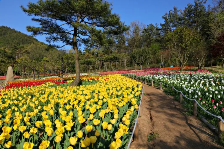 IMG_2276.jpg?type=w773