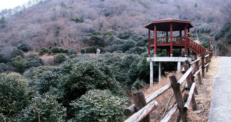 IMG_2651.JPG?type=w773