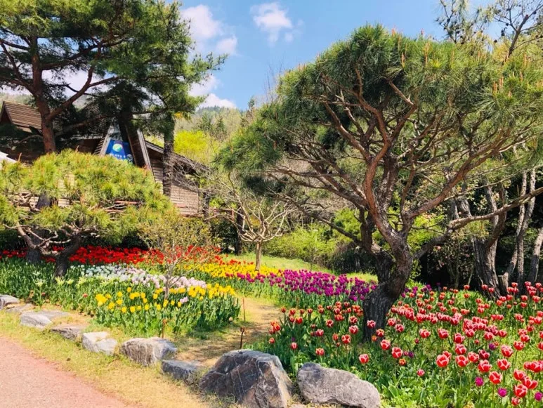 KakaoTalk_20190826_115905333_28.jpg?type=w773