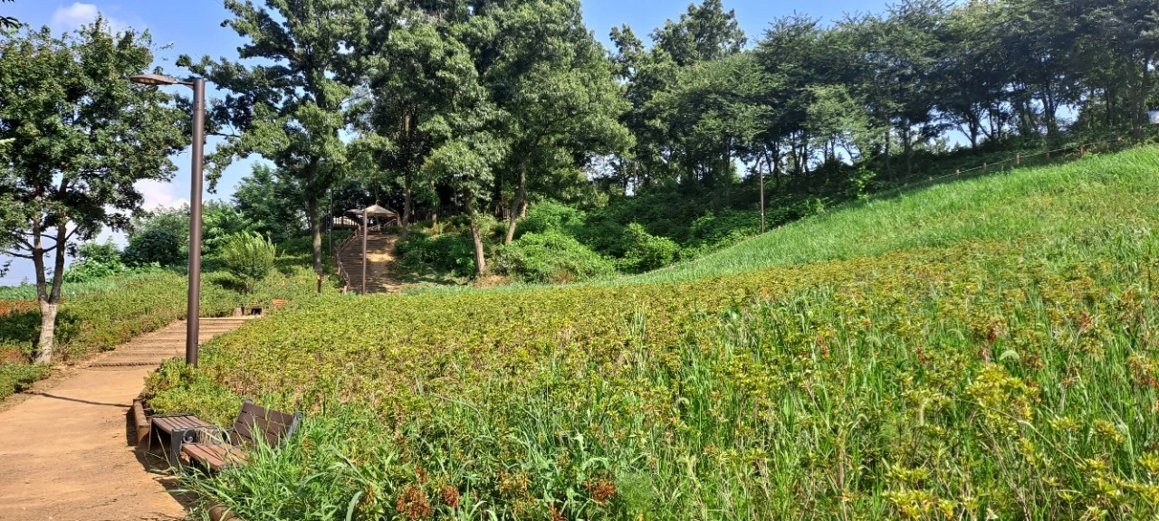 20210805%EF%BC%BF161428.jpg?type=w1600