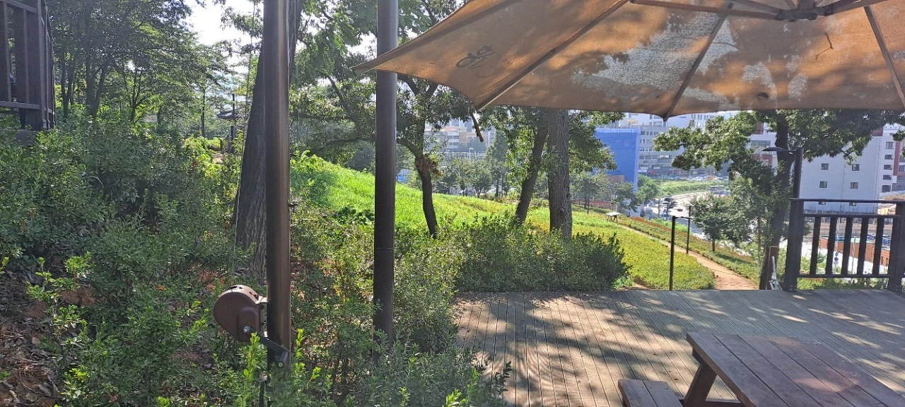 20210805%EF%BC%BF161611.jpg?type=w1600