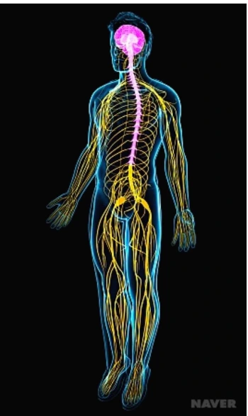 SE-7dcdcb95-47f6-4587-bef0-84b8da407dcd.jpg?type=w1600