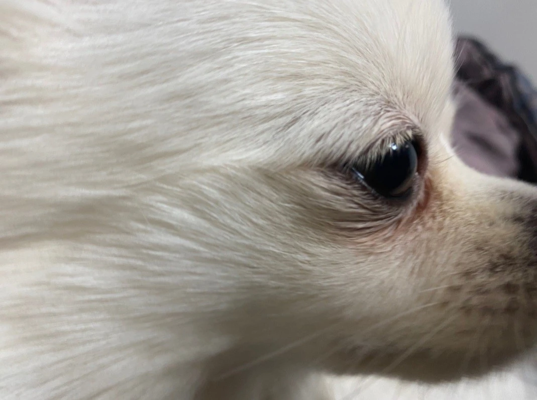 Screenshot%EF%BC%BF20210808%EF%BC%8D020243%EF%BC%BFKakaoTalk.jpg?type=w1600