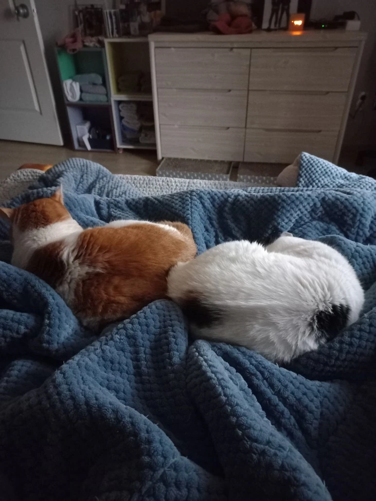 20211224_165635.jpg?type=w773