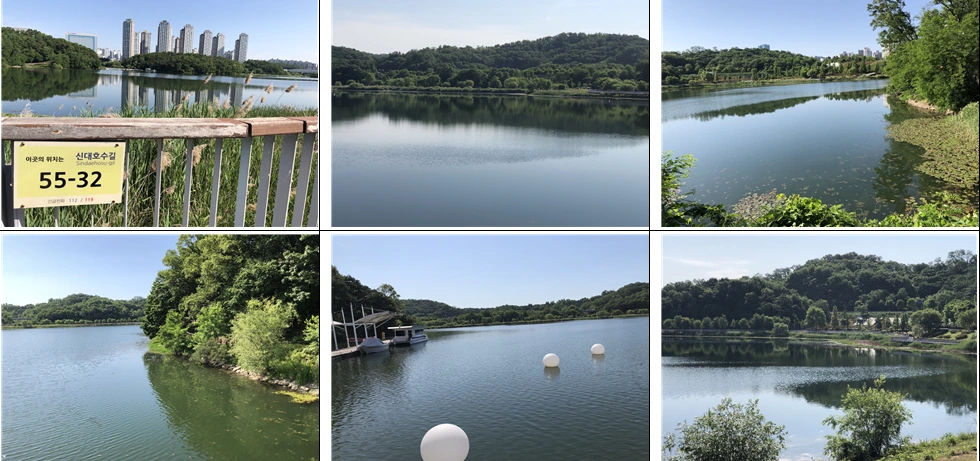 신대호수전경.PNG