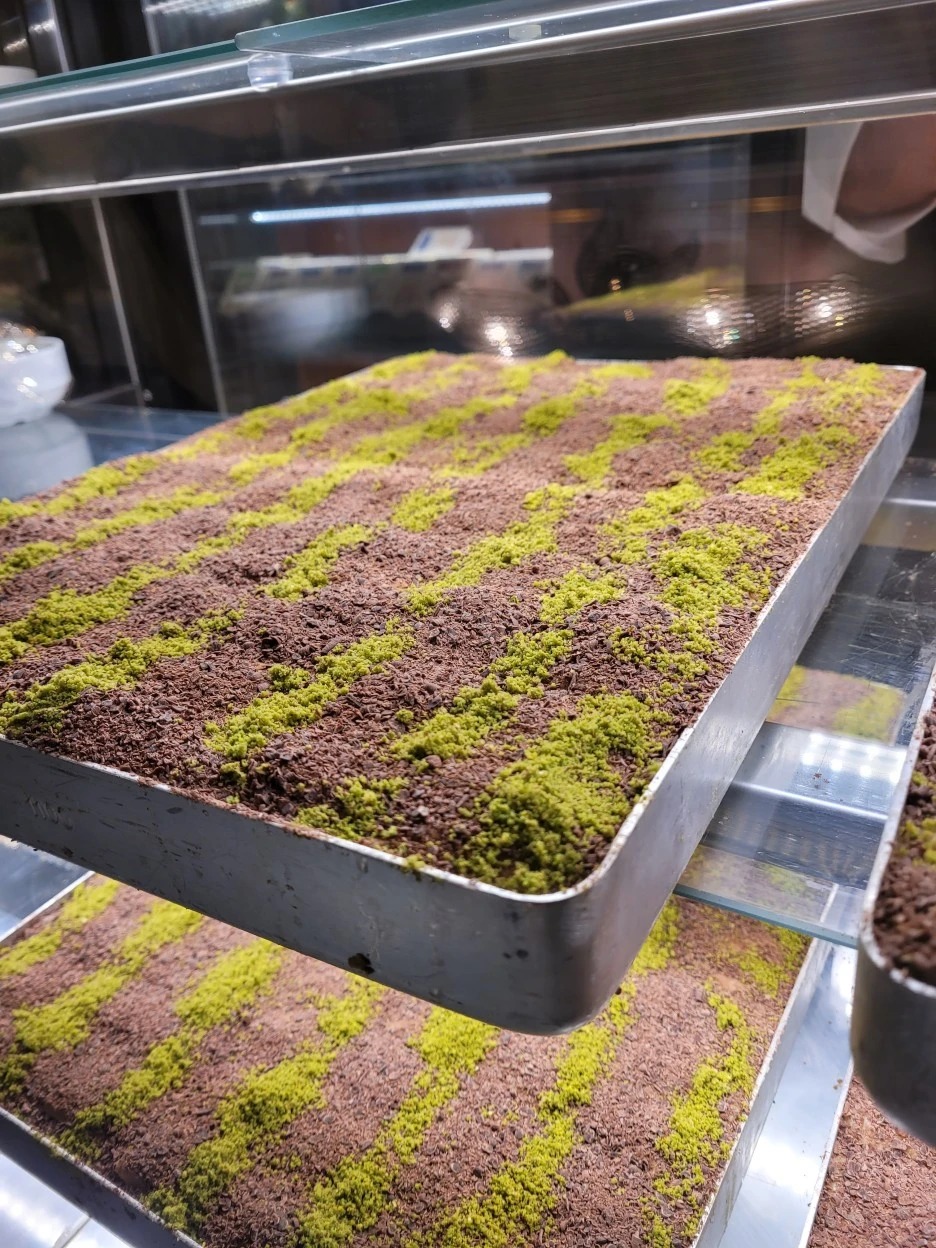 20211005_211304.jpg?type=w1