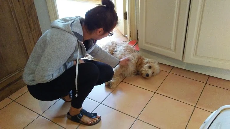 D9MUZ9AMGSgykGkx3VrFB-HpkGU4inZbZrNsOpZg9DMxb4ERBEw9gSiviyDQU2UlircdNDokaKAJu7c90cEB2cavBcIrTqdjGcZadmZigNvtnmMdOBTS28sXG-K6FcLV_q6k4jjzXWEjpOGbXStNZ8VefSaBxxs3j3iIRJt3m5gcEDPLvo0Hqk-WZkd1jRdvT-wuE1ToJaBNcUvdljfHd9o8SZKQQX3irCROKT6ebGpRQMRbRPOg2huJcpKZgy9xbX9Es2LJ1Mb8Rhp1rRHkdfQwNaJlH5dMaG5-MRT6ASfNueiocq9KIG8S6_kCz3Vy4I4bDWb5j6txQ8Nm4jlzFw2FEsV1AKzokavUq_6ItW_jXFduNWJXZ984dCsj2nEKj1jK-UmLFhY-tlj0iE3SDVeSh9QbmOyUhj5angYwbGy3wEhcrGrArgdWxIZlmaO2y25DP90qtJqNYGArJbATmqNxA6z7ChGAwl6k8ytc37j5G4jAweDH8yVC-xq0IKB3B65ifiWpo1b-xuwc8SyhX6NflkXrwDmDBrlHgqeEEu6_HDmi0yqNWrLtx8L7DuyHieNHesx2yJxn3flKtU5v71pQDGYpri3JHF16MhrWqaCQKlNesVQOlqcscuXaEMZDi83U5FsHT7wzXITCnwnTHcgoUEAA3OgI5O92qFJVjJ0KQmja3_ie0tPzmwEcGC4=w781-h440-no?authuser=2