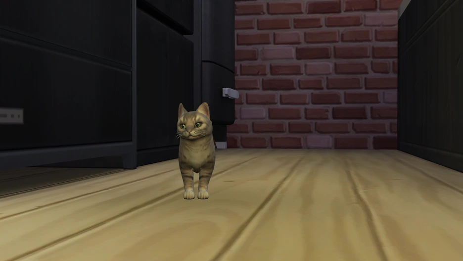 2019-06-15_7-58-43%C2%A0PM.png?type=w1