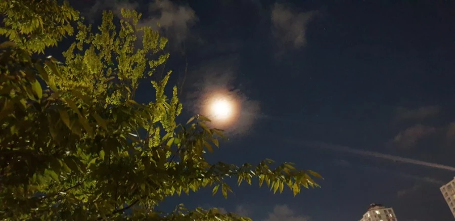 20210717%EF%BC%BF205114.jpg?type=w1