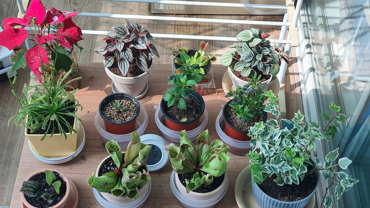 KakaoTalk_Photo_2022-06-02-13-51-02 009.jpeg