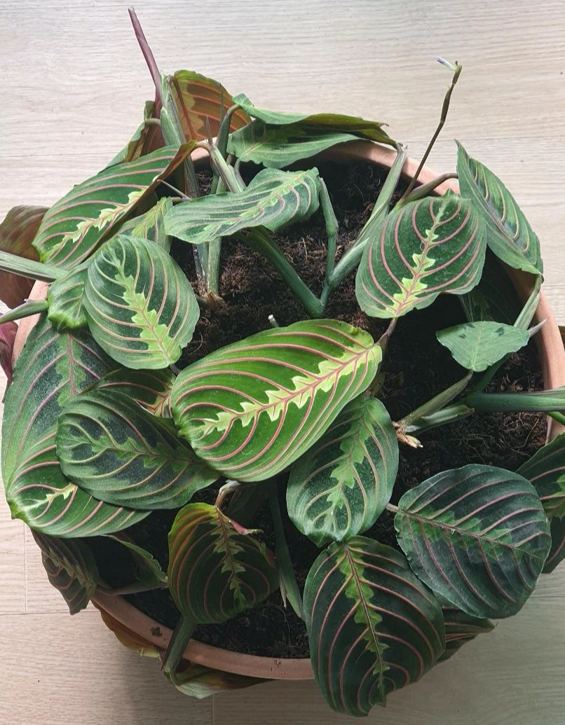 KakaoTalk_Photo_2022-04-01-19-13-12 004.jpeg