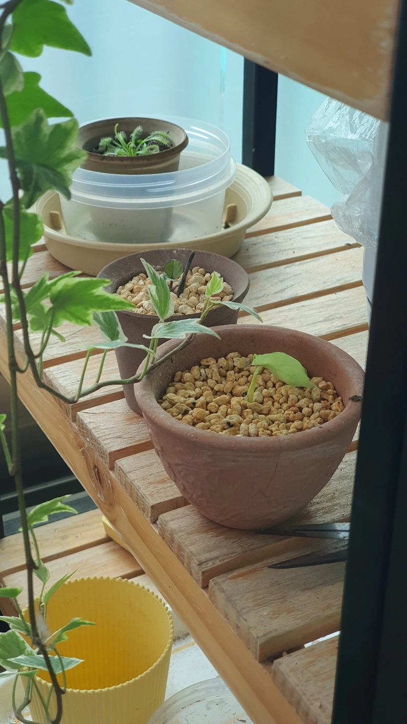 KakaoTalk_Photo_2022-08-07-18-46-59 002.jpeg