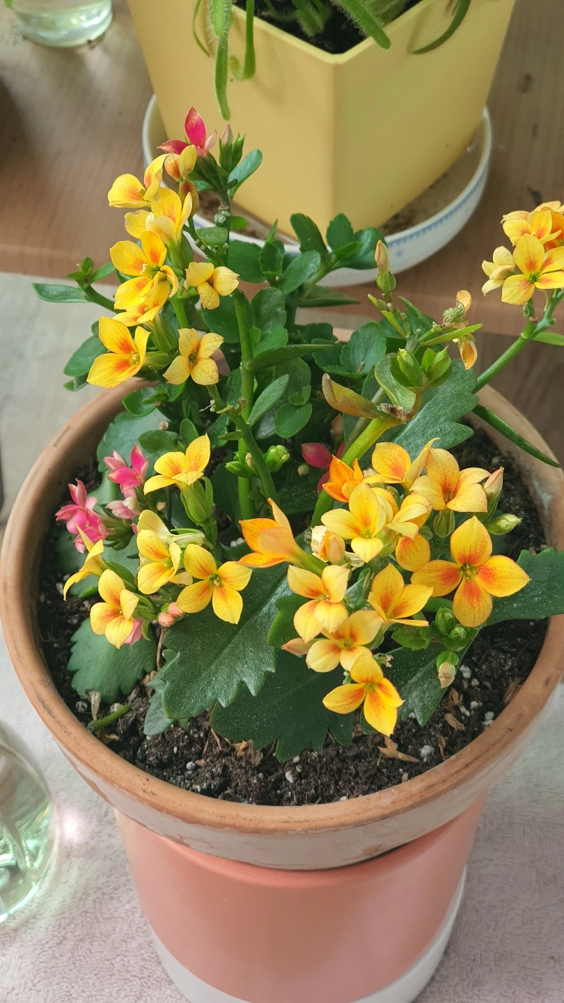 KakaoTalk_Photo_2022-06-02-13-51-01 005.jpeg