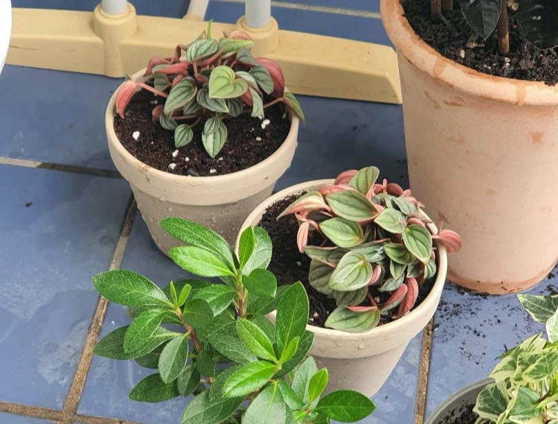 KakaoTalk_Photo_2022-06-02-13-51-02 016.jpeg