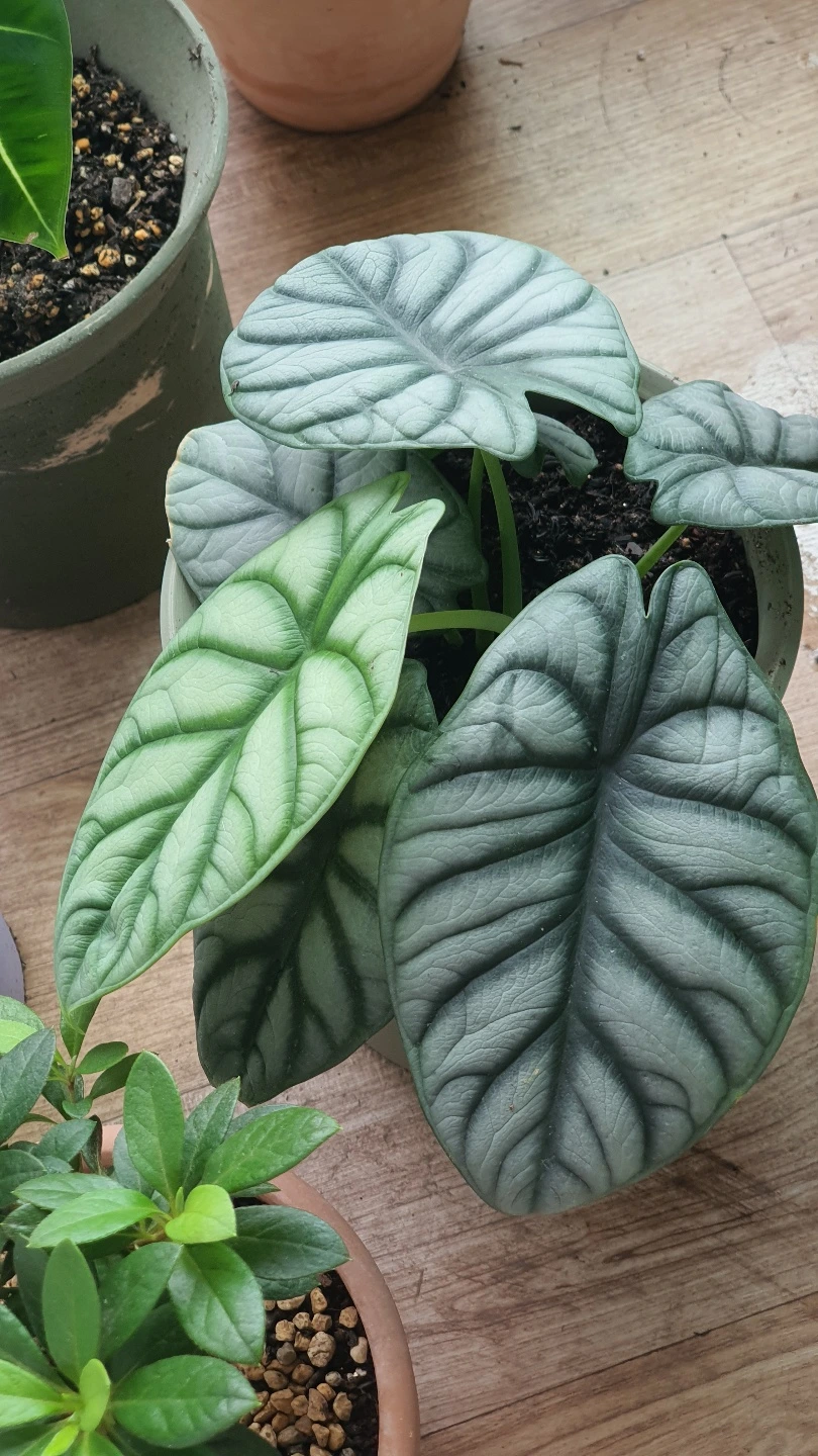 KakaoTalk_Photo_2022-08-07-18-03-31 003.jpeg