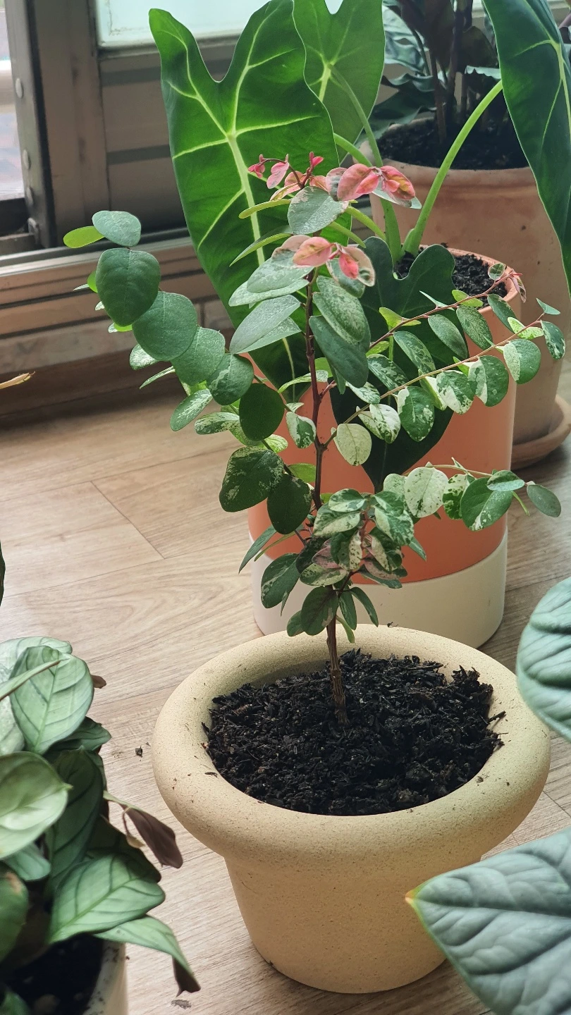 KakaoTalk_Photo_2022-06-28-14-27-59 007.jpeg