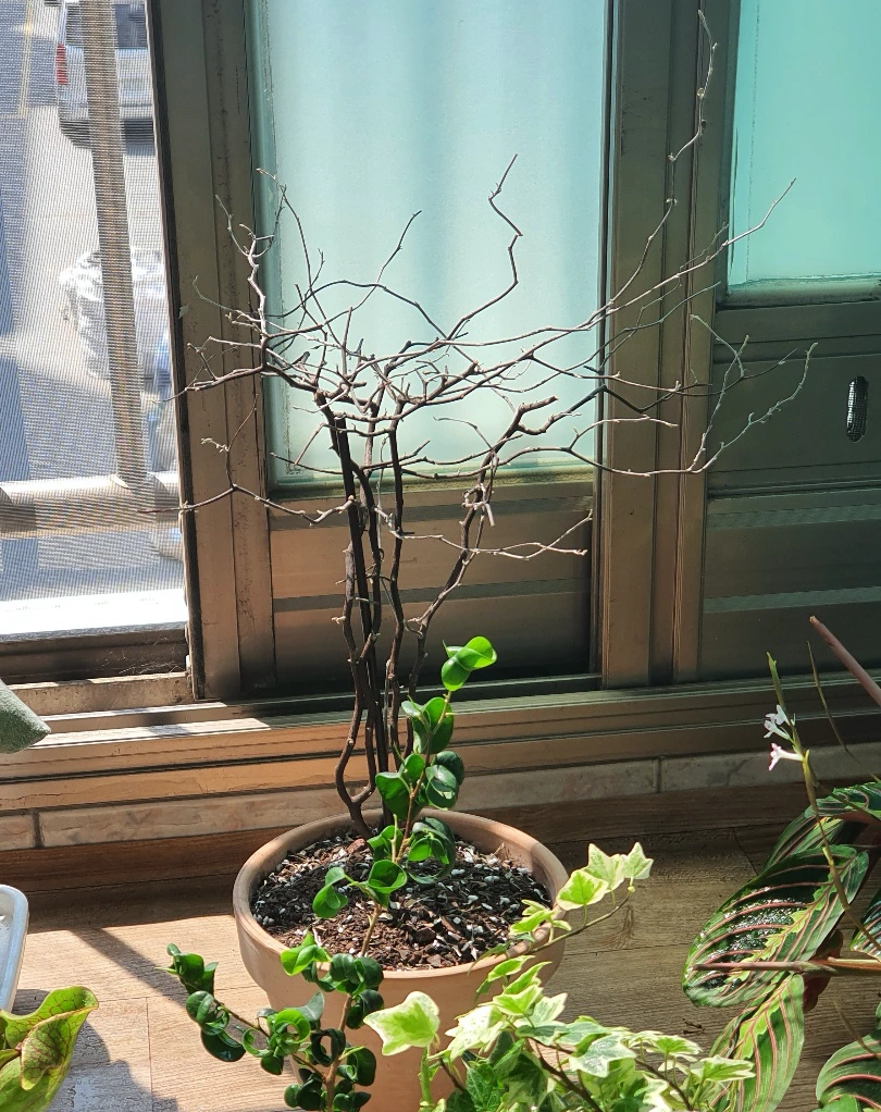 KakaoTalk_Photo_2022-08-07-18-03-32 009.jpeg