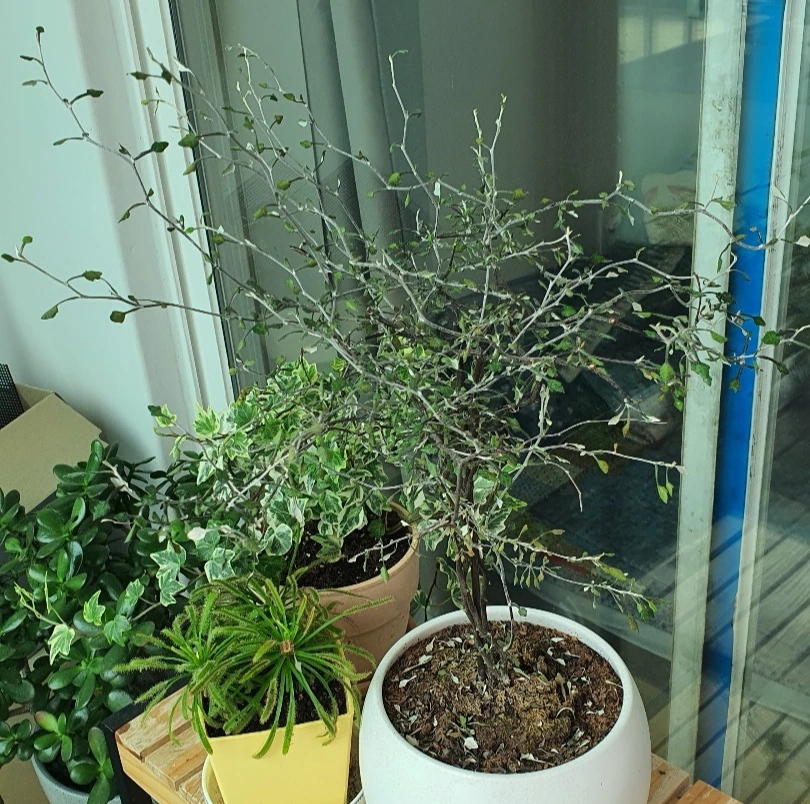 KakaoTalk_Photo_2022-08-07-18-03-32 008.jpeg