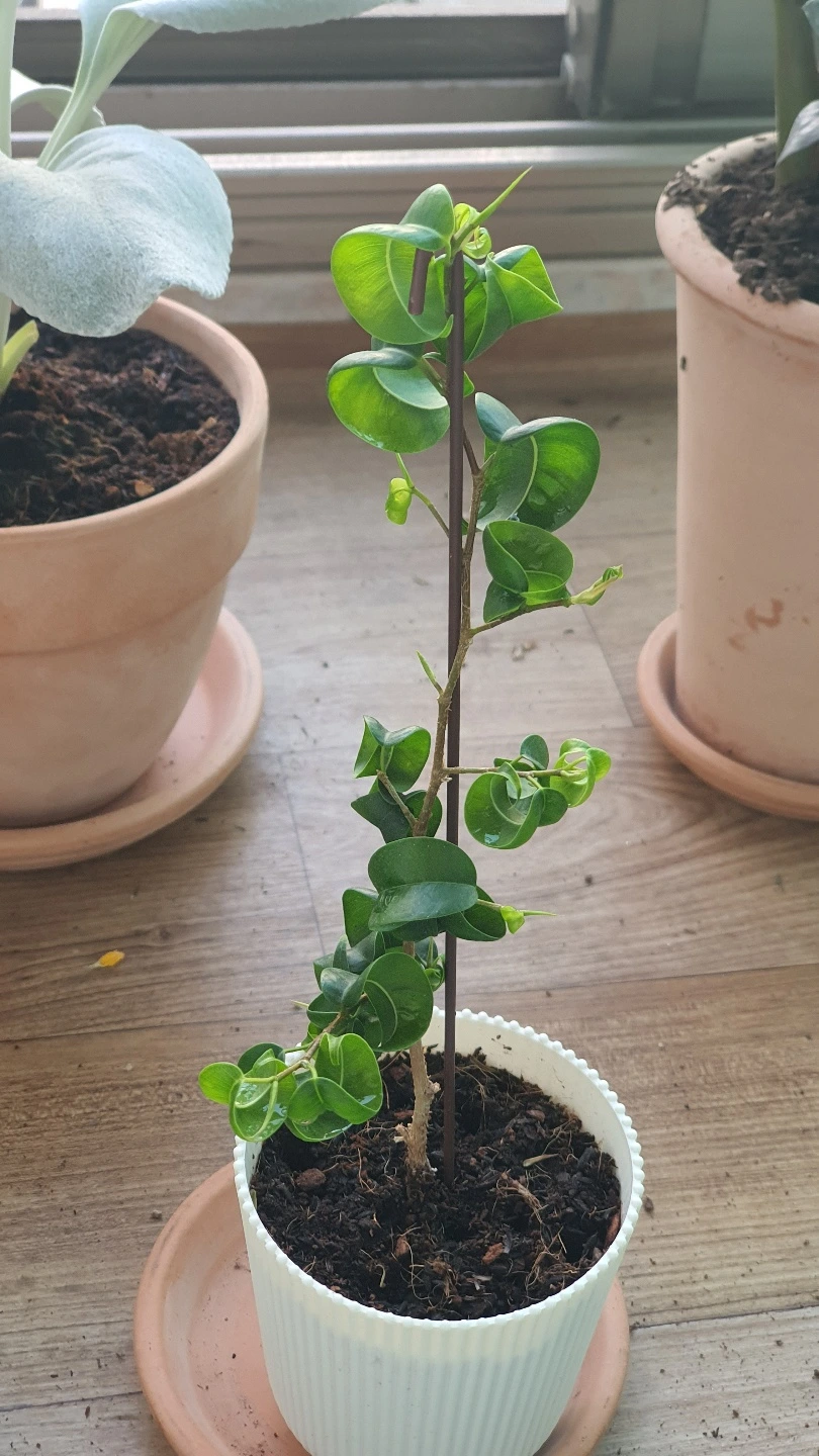 KakaoTalk_Photo_2022-06-02-13-51-00 001.jpeg