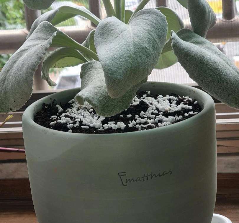 KakaoTalk_Photo_2022-06-28-14-27-58 001.jpeg